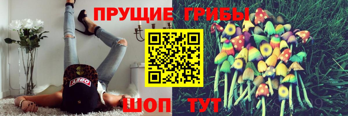 Псилоцибиновые грибы GOLDEN TEACHER  Вход с VPN  Псилоцибиновые грибы Psilocybe  Отрадное 